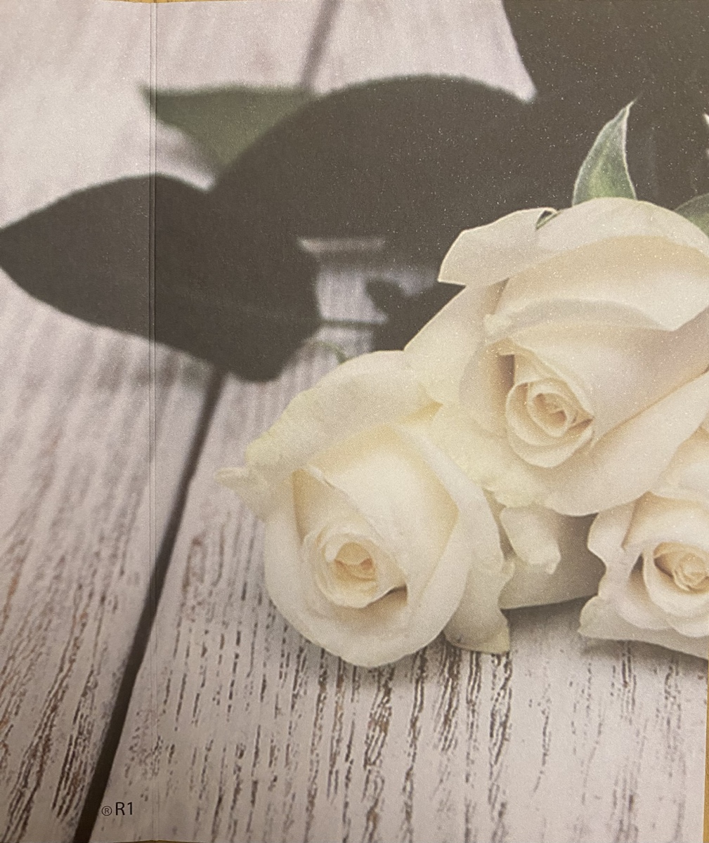 14. Hoy sí nos vamos&nbsp;todos