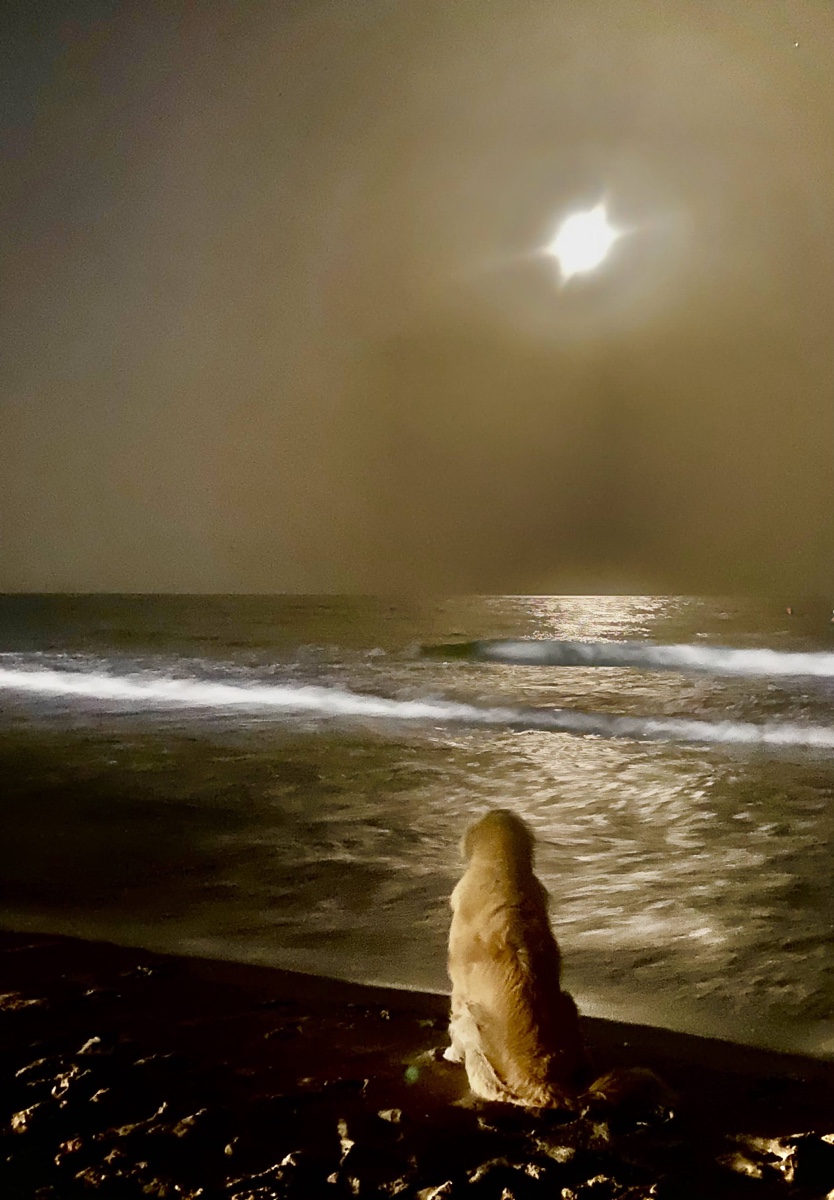 17. Y de&nbsp;repente