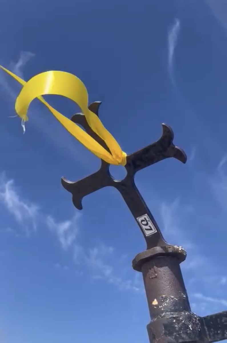 16. Summers in the&nbsp;retina