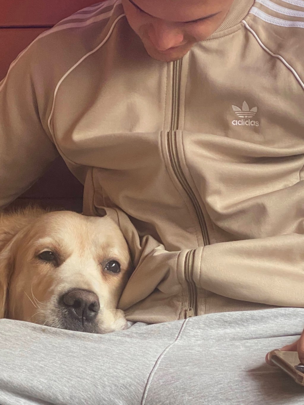 29. One more night walking with&nbsp;Max