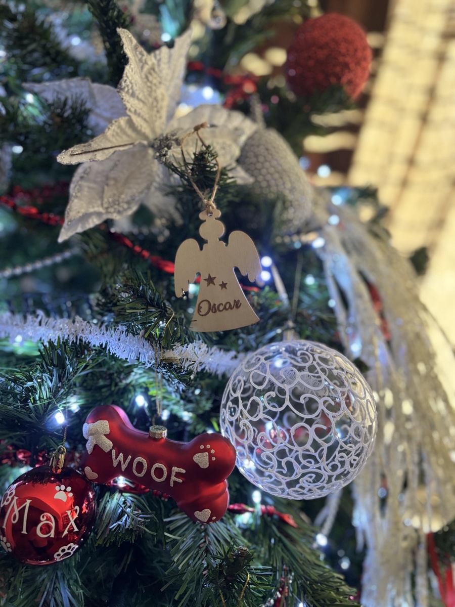 45 . An angel in my&nbsp;tree