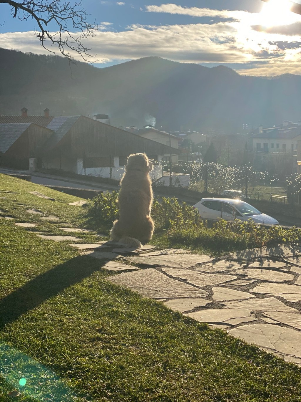 49. Como las olas del&nbsp;mar